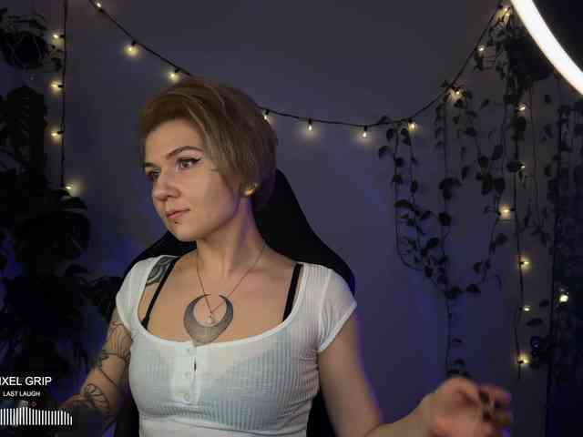 SOVA_tut webcam