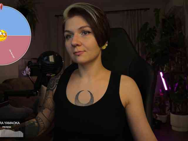 SOVA_tut webcam