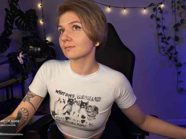 SOVA_tut webcam