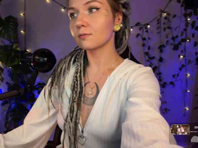 SOVA_tut webcam