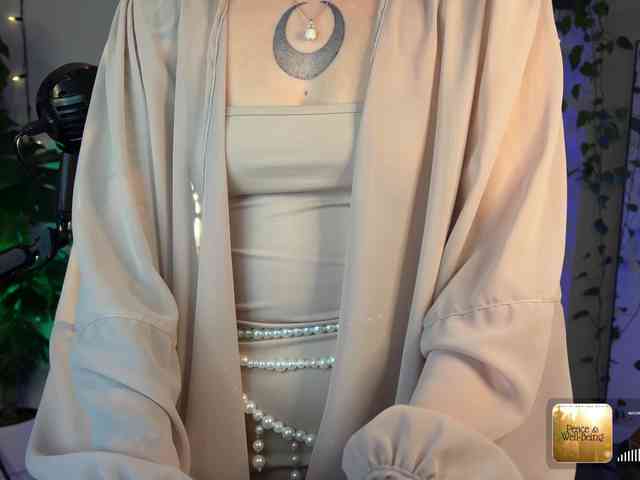 SOVA_tut webcam