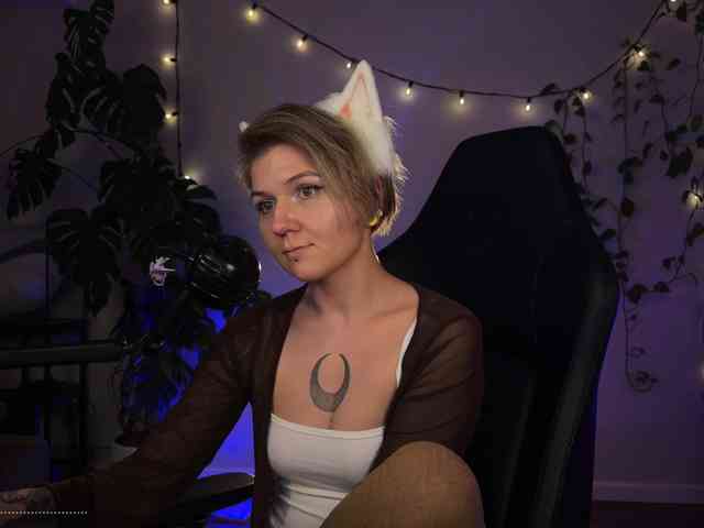 SOVA_tut webcam