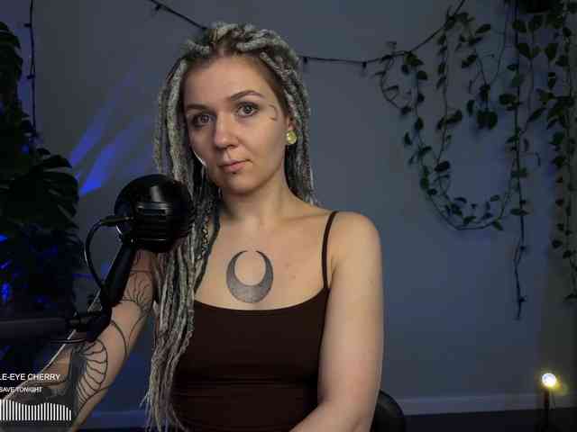 SOVA_tut webcam