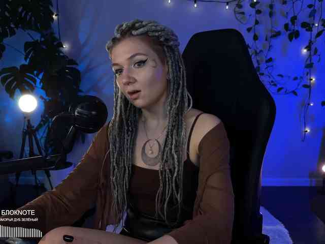 SOVA_tut webcam