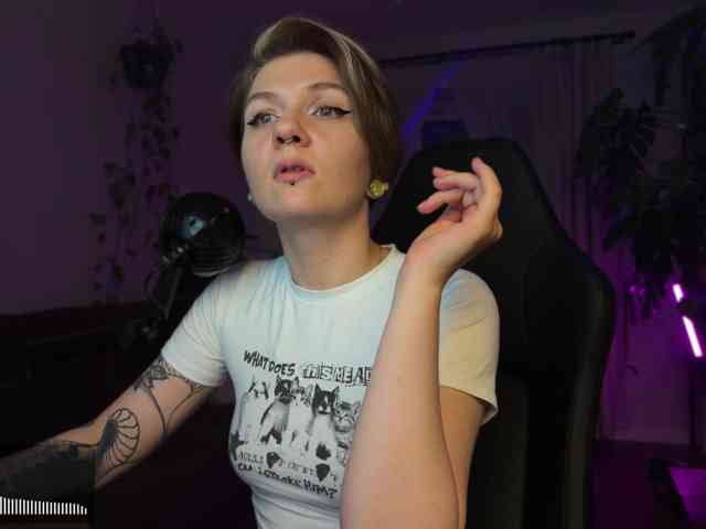 SOVA_tut webcam