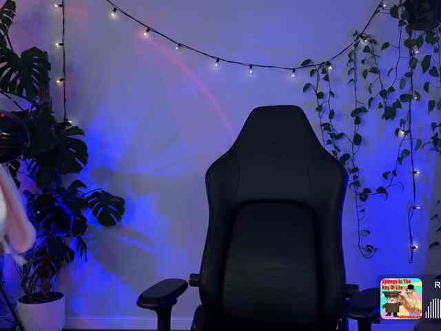 SOVA_tut webcam