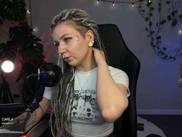 SOVA_tut webcam