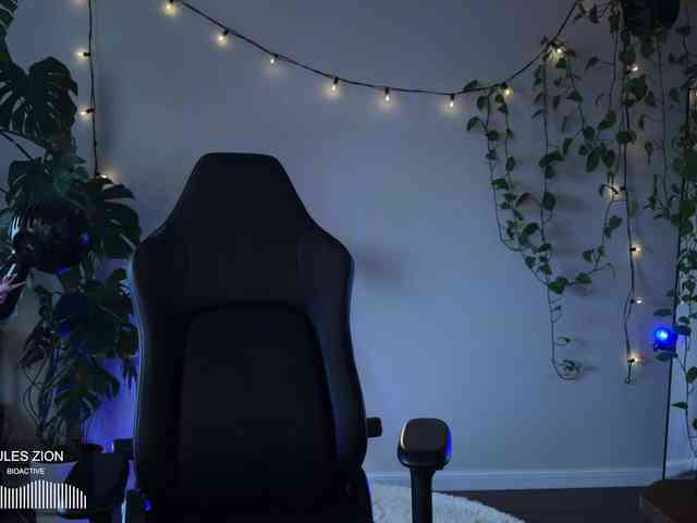 SOVA_tut webcam