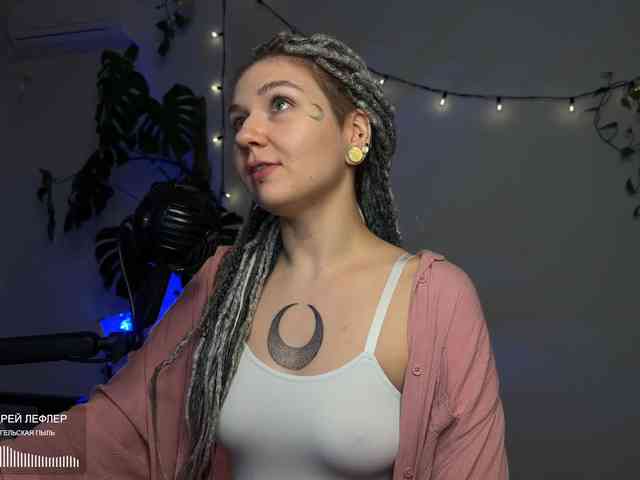 SOVA_tut webcam