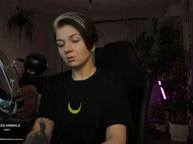 SOVA_tut webcam