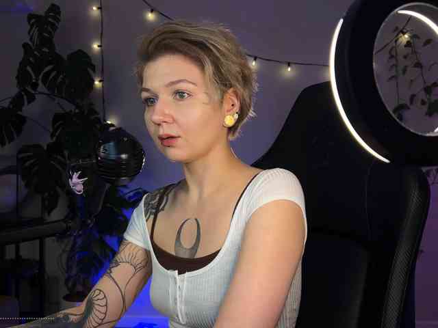 SOVA_tut webcam