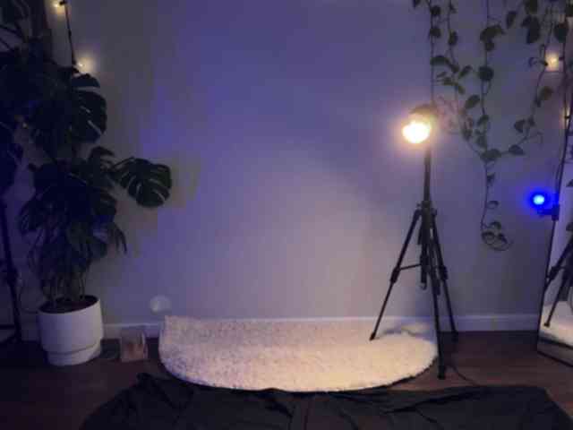SOVA_tut webcam