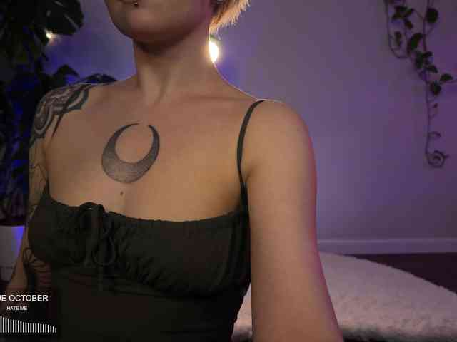 SOVA_tut webcam