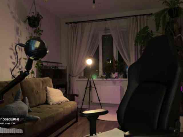 SOVA_tut webcam