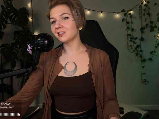 SOVA_tut webcam