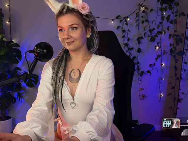 SOVA_tut webcam
