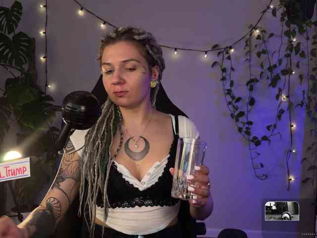 SOVA_tut webcam
