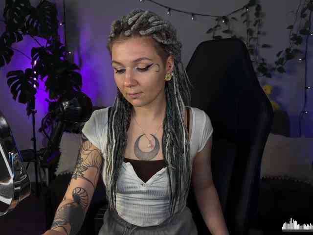 SOVA_tut webcam