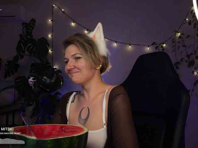 SOVA_tut webcam