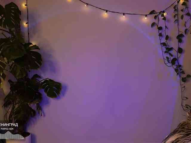 SOVA_tut webcam