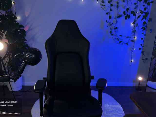 SOVA_tut webcam
