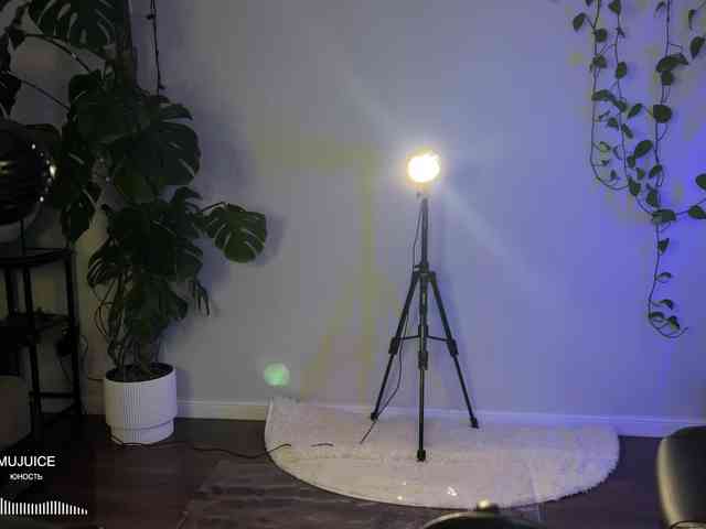 SOVA_tut webcam