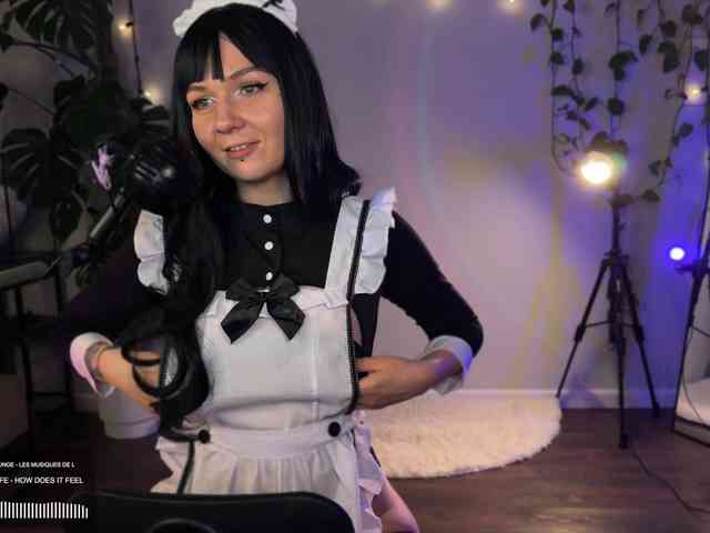 SOVA_tut webcam