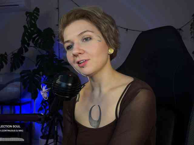 SOVA_tut webcam