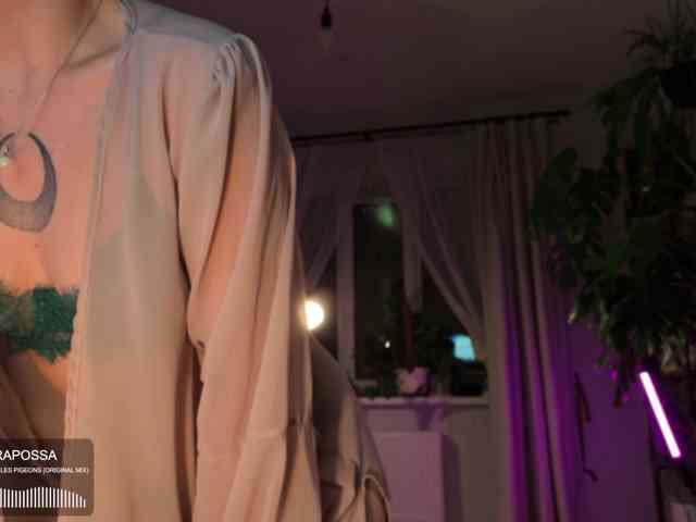 SOVA_tut webcam