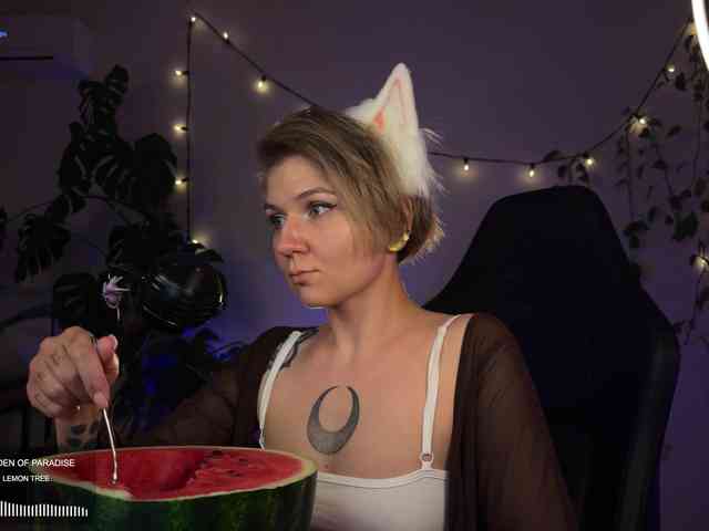 SOVA_tut webcam