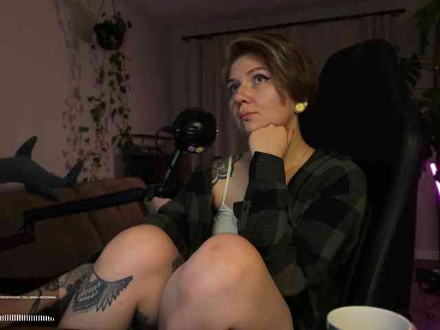 SOVA_tut webcam