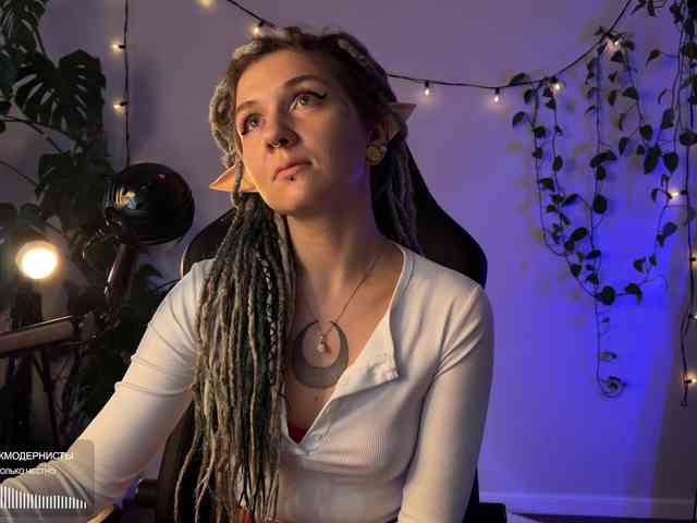 SOVA_tut webcam