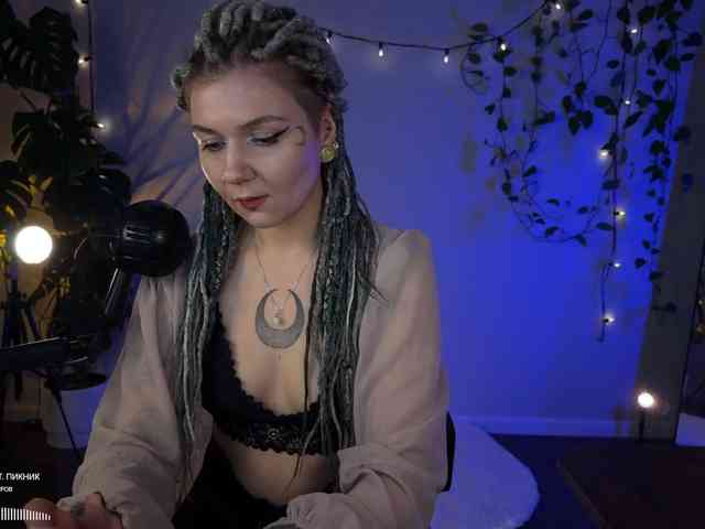 SOVA_tut webcam