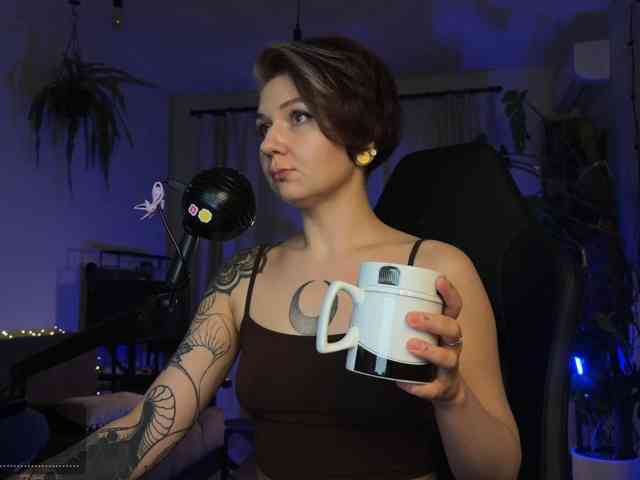 SOVA_tut webcam
