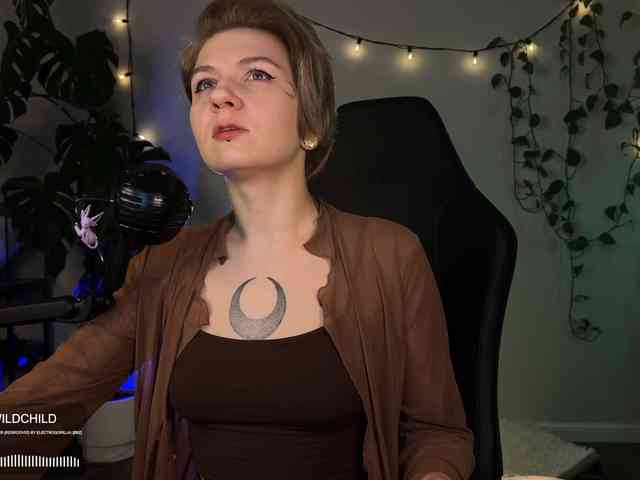 SOVA_tut webcam