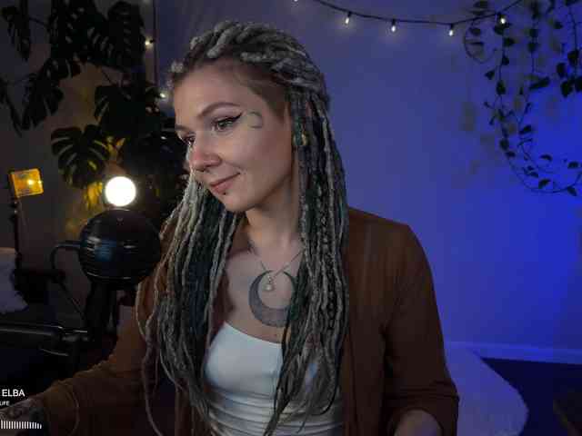SOVA_tut webcam