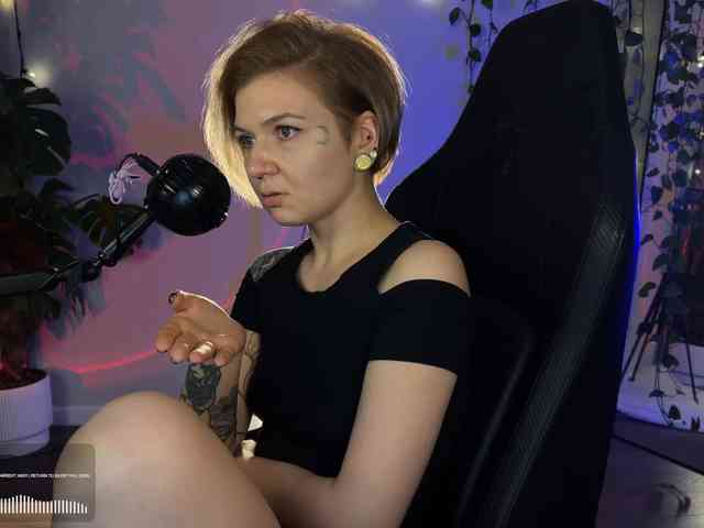 SOVA_tut webcam