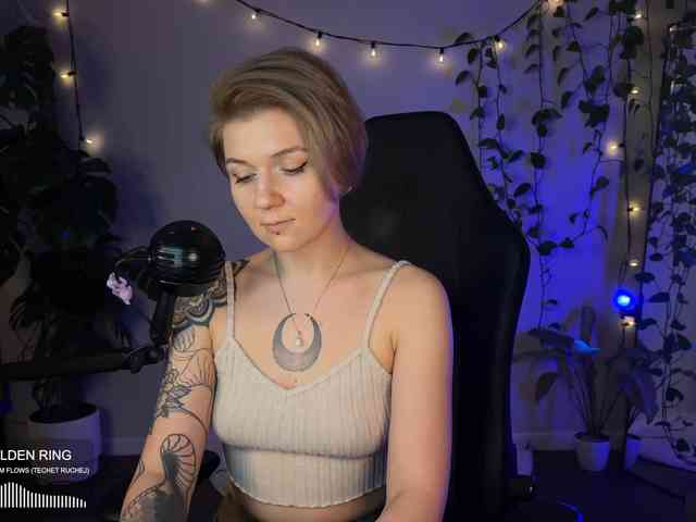 SOVA_tut webcam