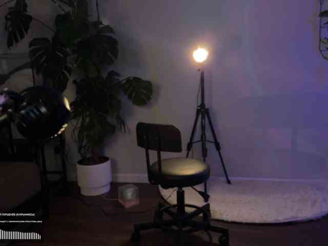 SOVA_tut webcam