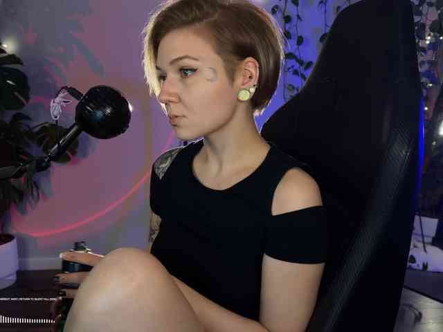 SOVA_tut webcam