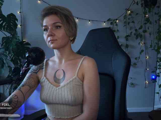 SOVA_tut webcam