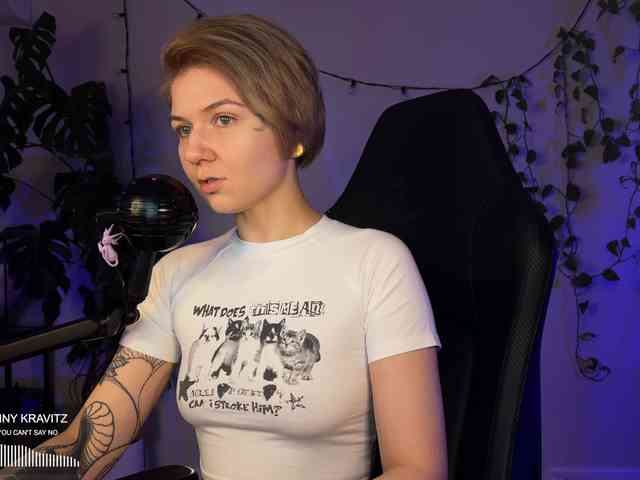 SOVA_tut webcam