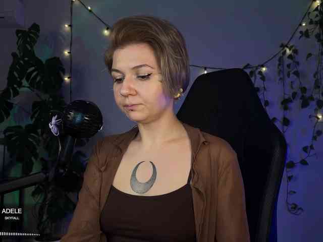 SOVA_tut webcam