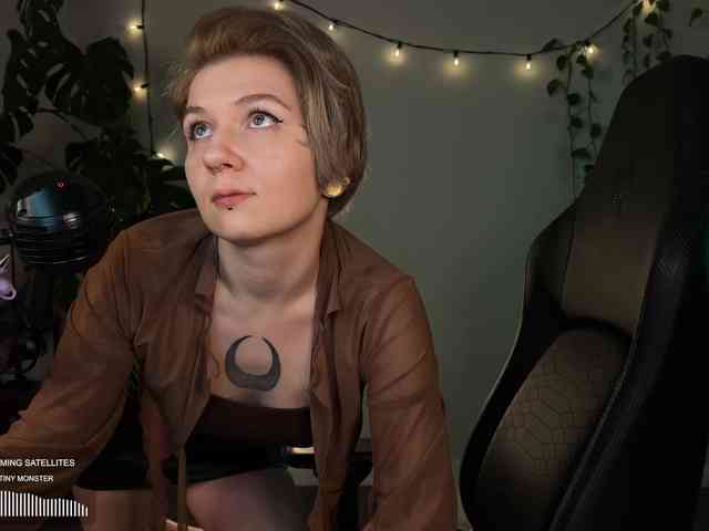 SOVA_tut webcam