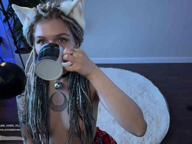 SOVA_tut webcam