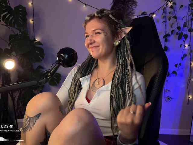 SOVA_tut webcam