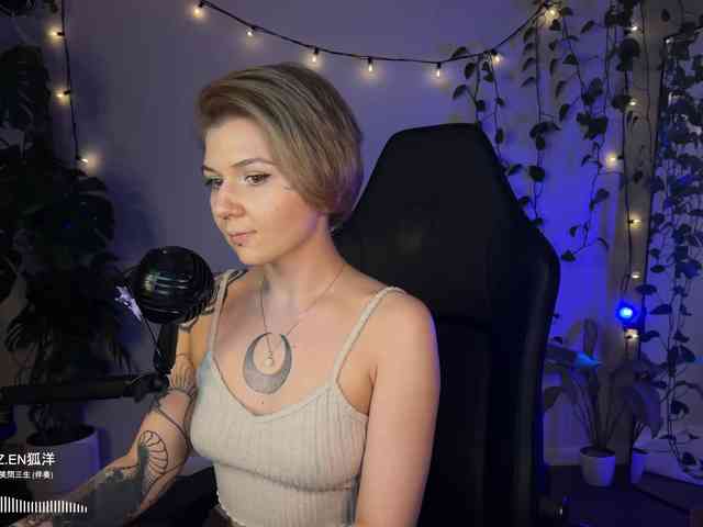 SOVA_tut webcam