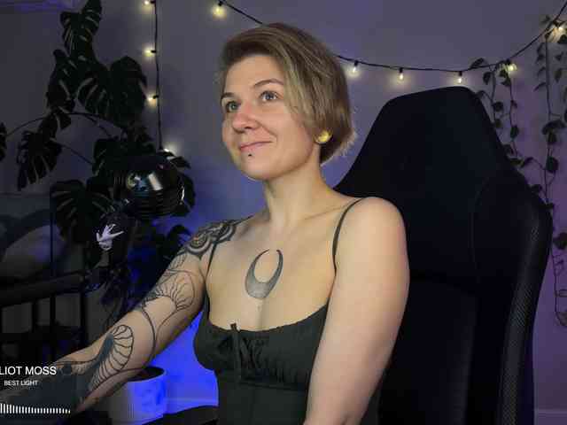 SOVA_tut webcam