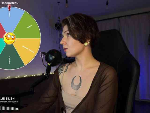 SOVA_tut webcam