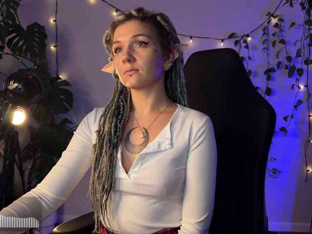 SOVA_tut webcam
